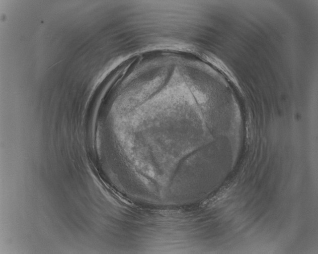 X0000061140436200512161534