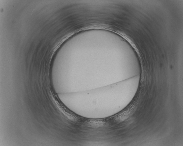 X0000061140437200512161534