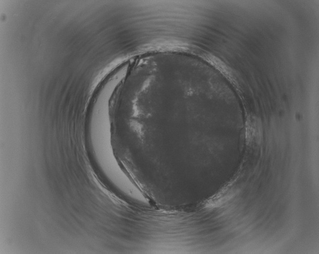 X0000061140438200512161534