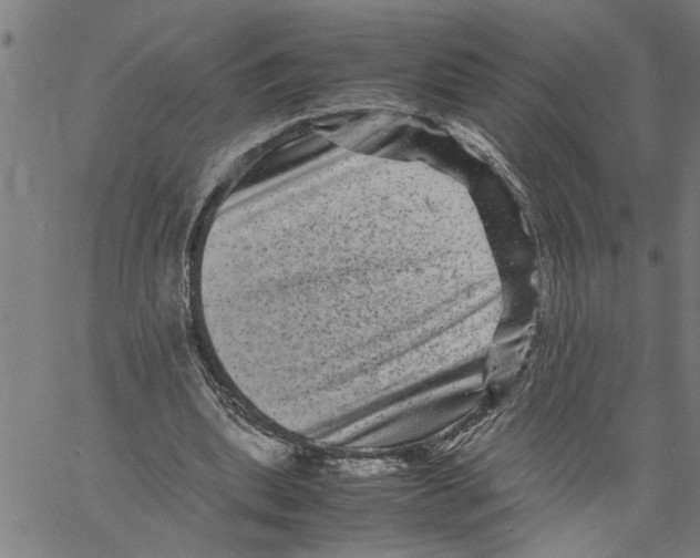 X0000061140439200512161534