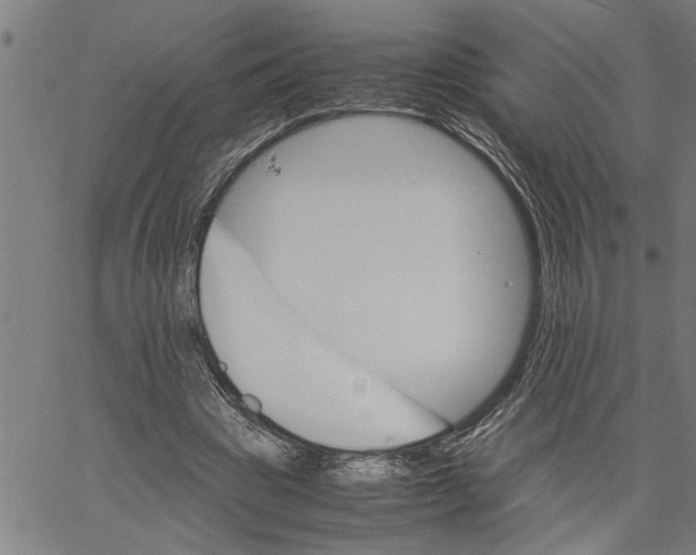 X0000061140441200512161534