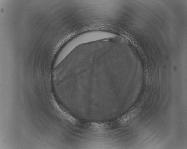 X0000061140442200512161534