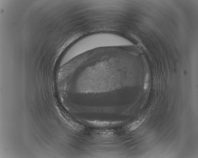 X0000061140443200512161534