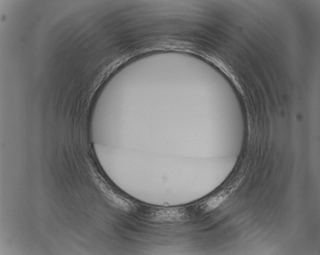 X0000061140445200512161534