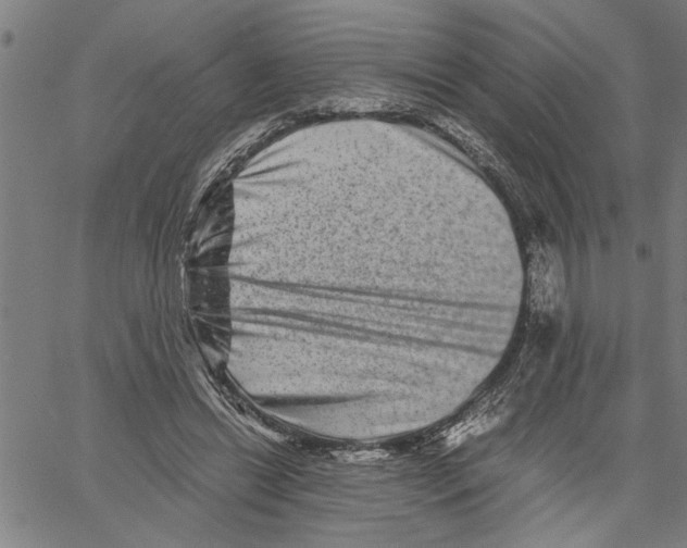 X0000061140446200512161534