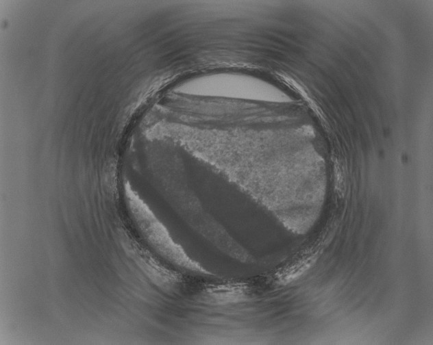 X0000061140447200512161534