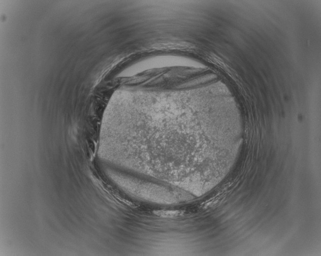 X0000061140448200512161534