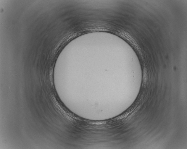 X0000061140449200512161534