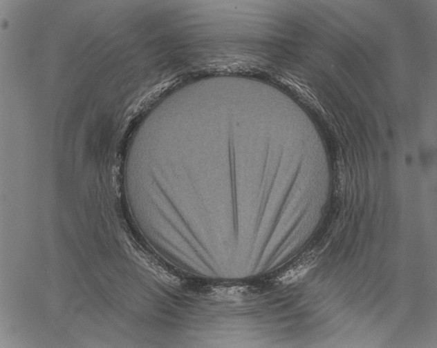 X0000061140450200512161534