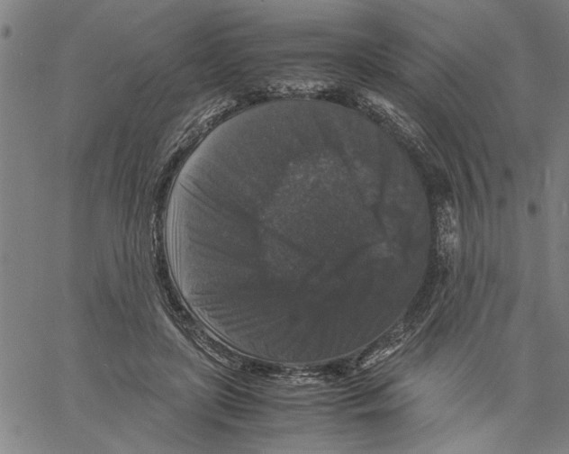 X0000061140451200512161534