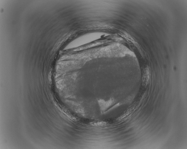 X0000061140452200512161534