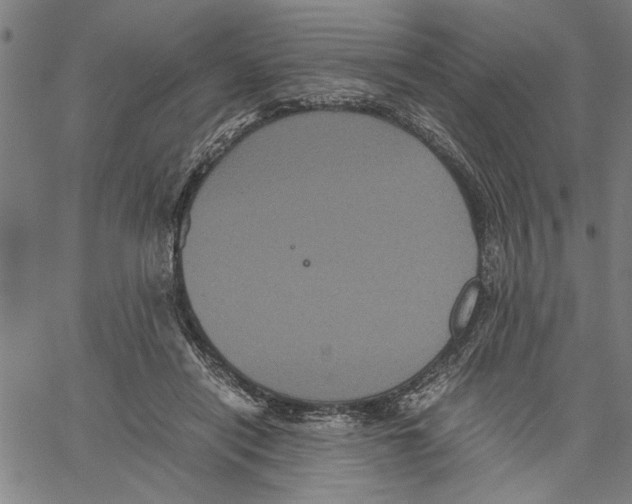 X0000061140454200512161534