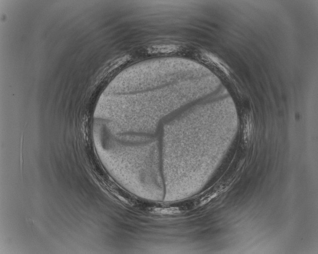 X0000061140455200512161534