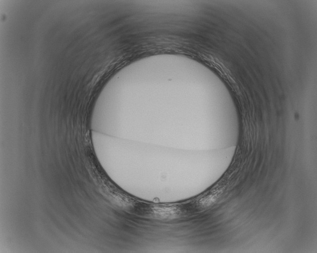 X0000061140457200512161534