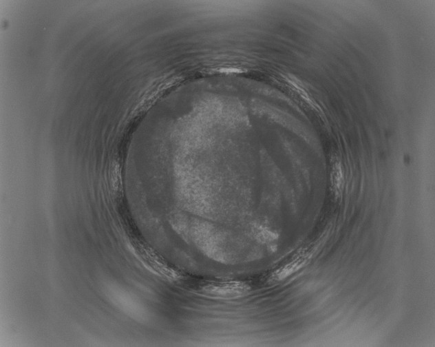 X0000061140459200512161534