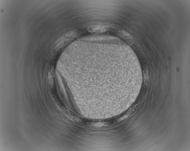 X0000061140460200512161534