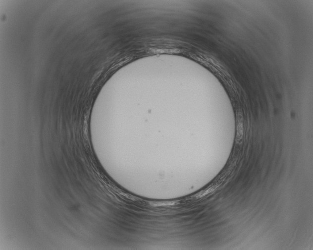 X0000061140461200512161534