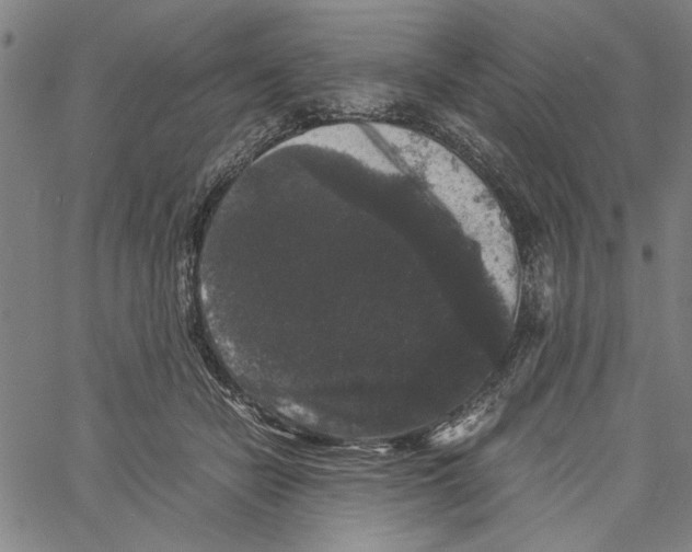 X0000061140462200512161534