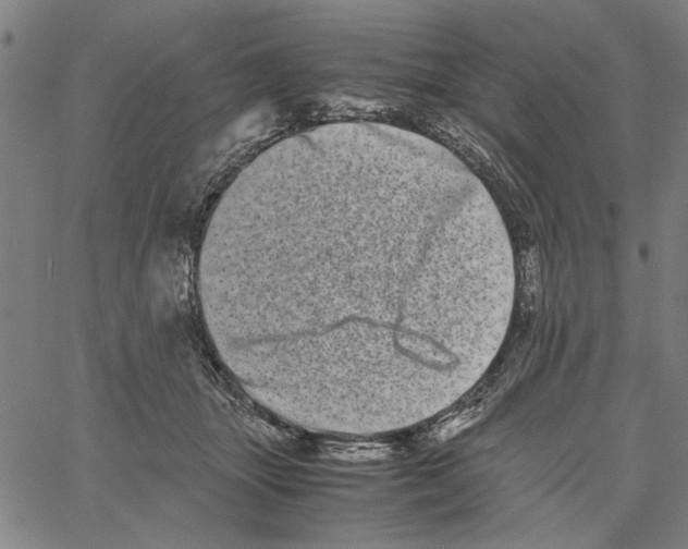 X0000061140463200512161534