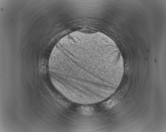 X0000061140464200512161534