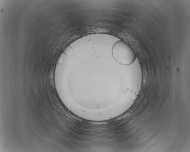 X0000061140465200512161534