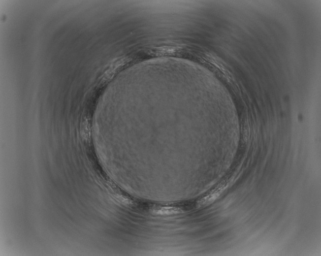 X0000061140467200512161534