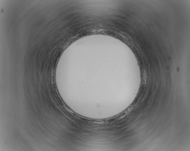 X0000061140468200512161534