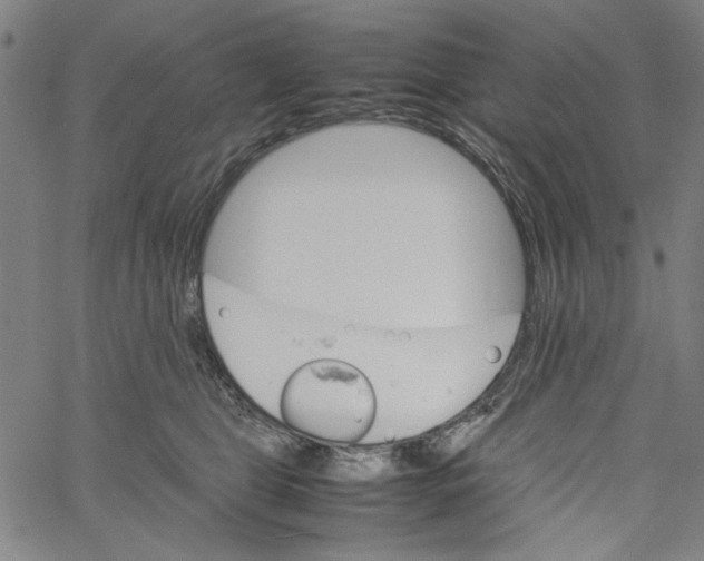 X0000061140469200512161534