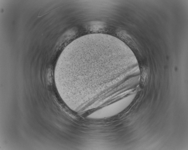 X0000061140470200512161534