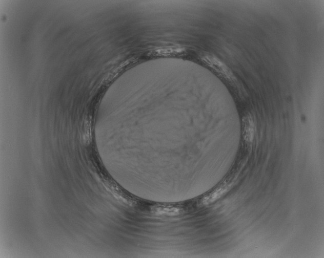 X0000061140471200512161534