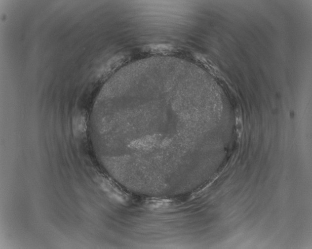 X0000061140472200512161534