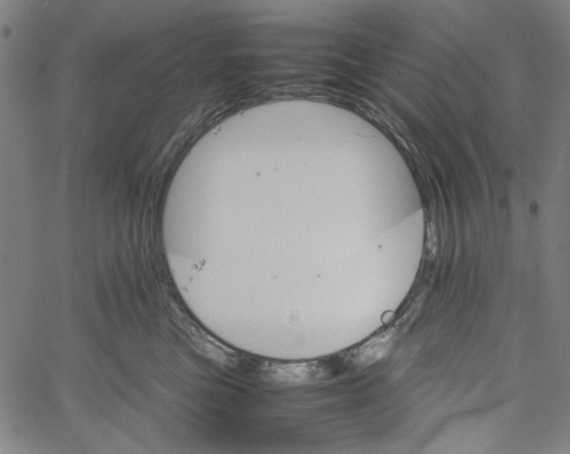 X0000061140473200512161534