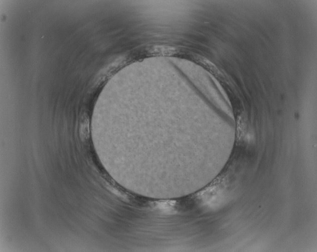 X0000061140474200512161534