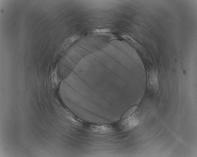 X0000061140475200512161535