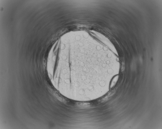 X0000061140476200512161535