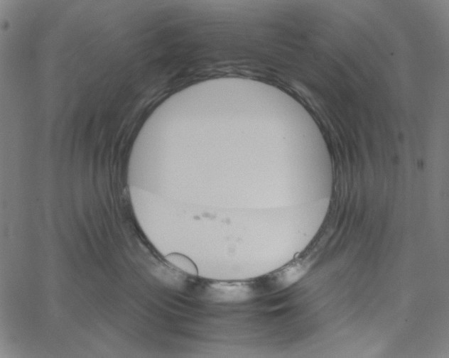 X0000061140477200512161535