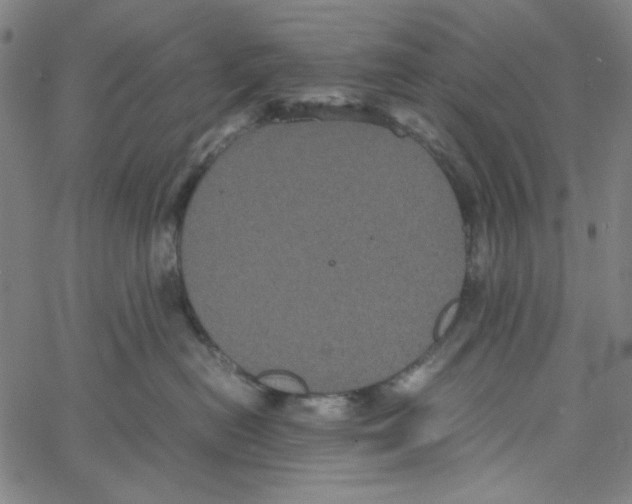 X0000061140478200512161535