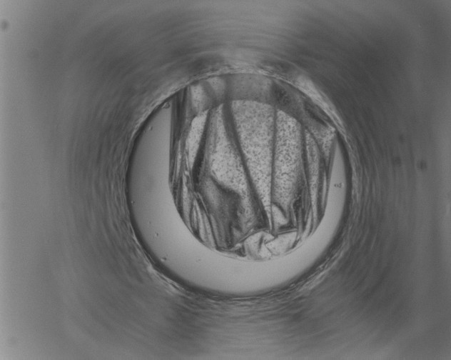 X0000061140481200512161534