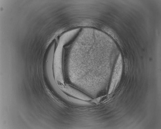 X0000061140482200512161534