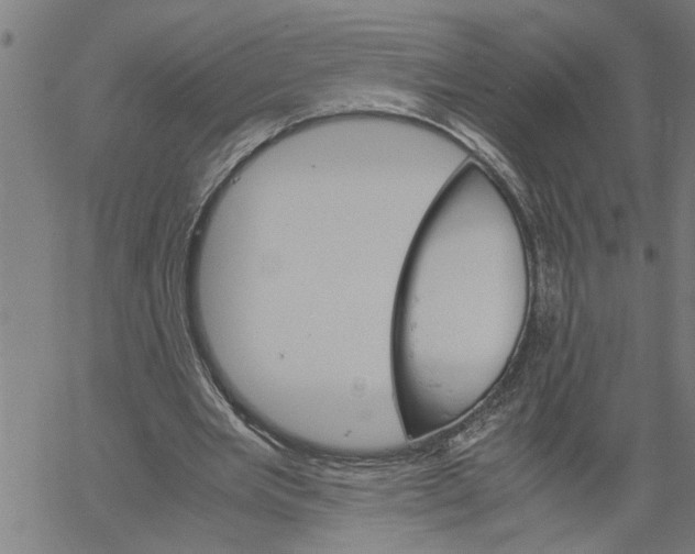 X0000061140485200512161534