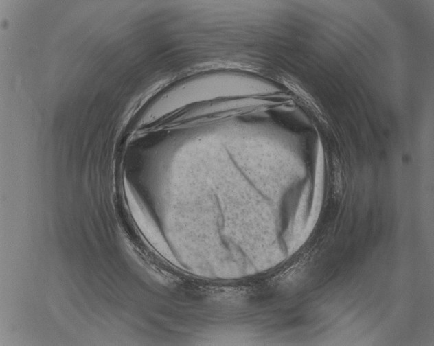 X0000061140486200512161534