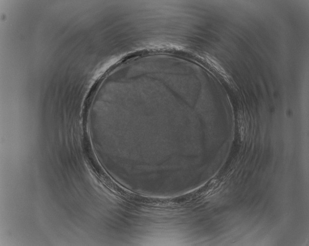 X0000061140488200512161534