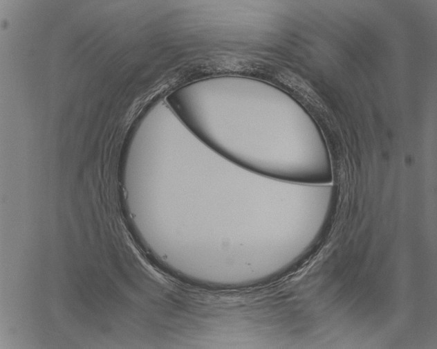 X0000061140489200512161534