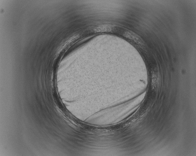 X0000061140490200512161534