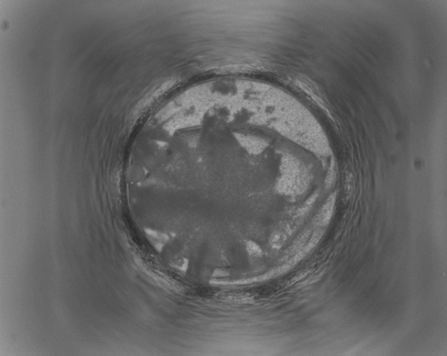 X0000061140491200512161534