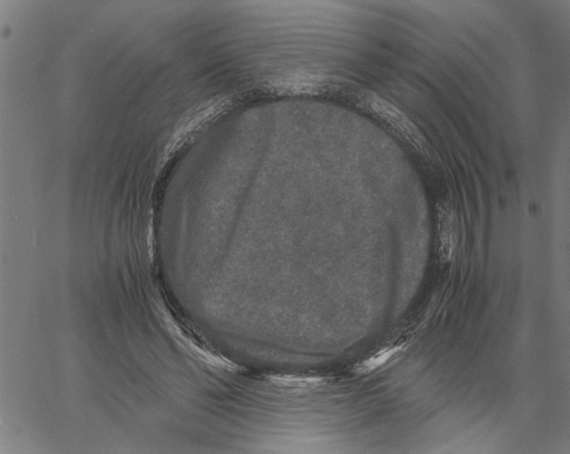 X0000061140494200512161534