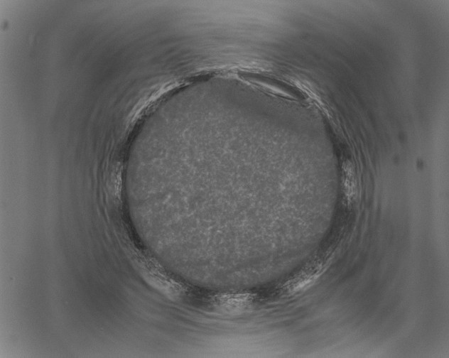 X0000061140495200512161534