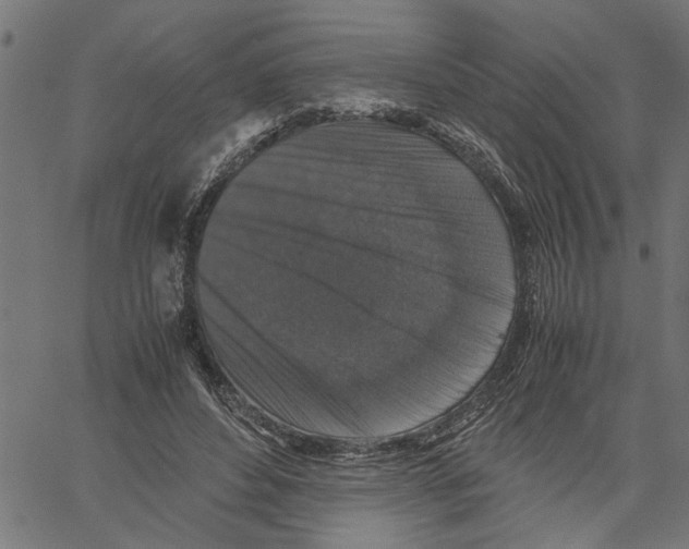 X0000061140496200512161534