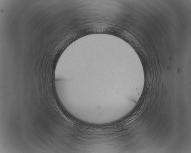 X0000061140497200512161534