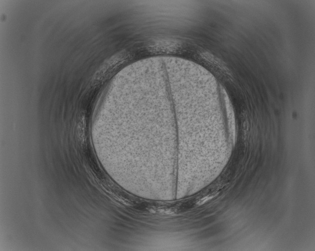 X0000061140498200512161534